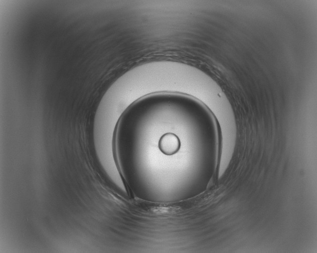 X0000074020558200609181903