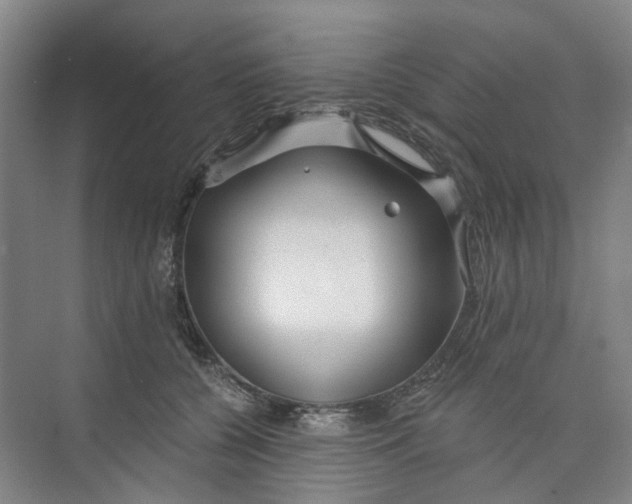 X0000074020560200609181903
