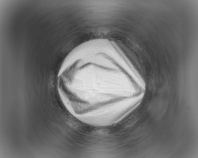X0000074020561200609181903