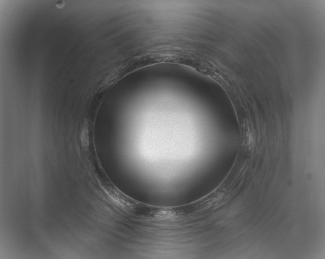 X0000074020562200609181903
