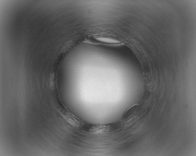 X0000074020563200609181903
