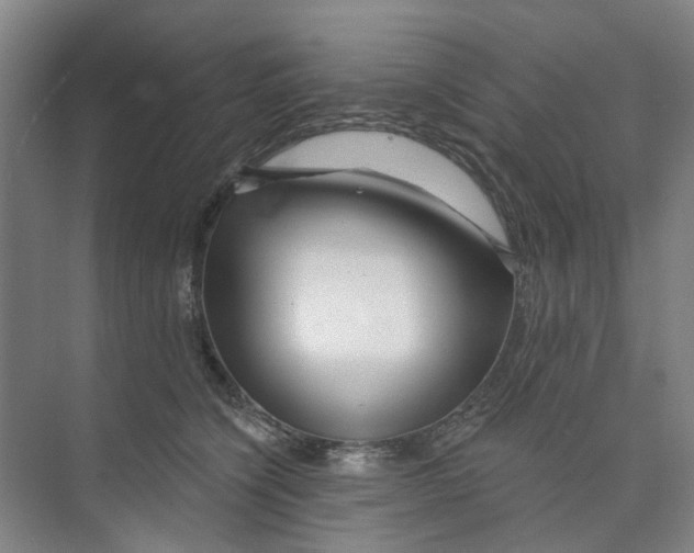 X0000074020564200609181903