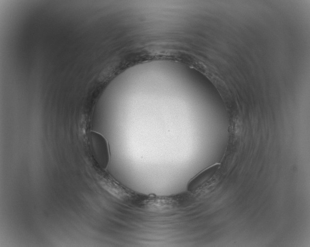 X0000074020567200609181904