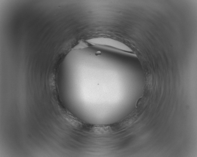 X0000074020571200609181904