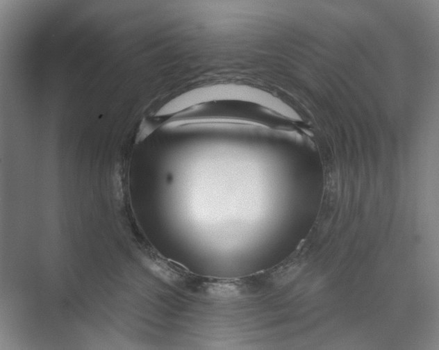 X0000074020572200609181904