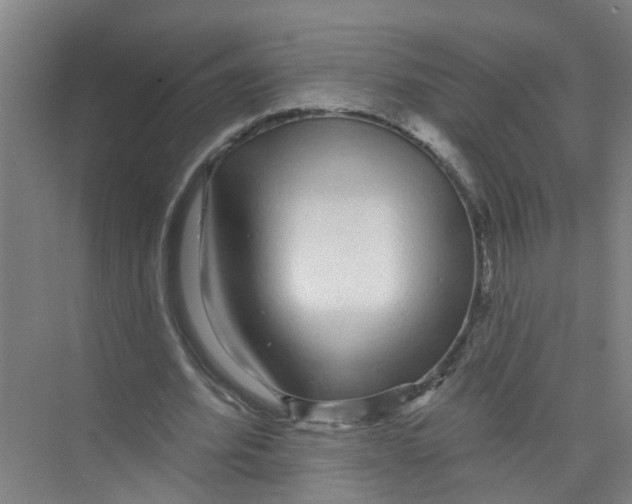 X0000074020580200609181903