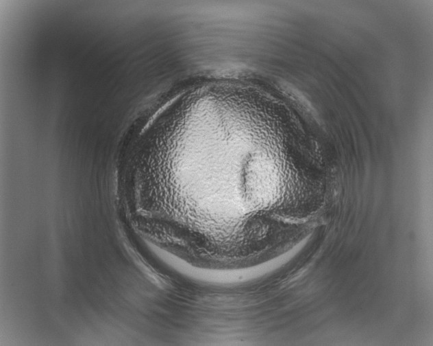 X0000074020589200609181903