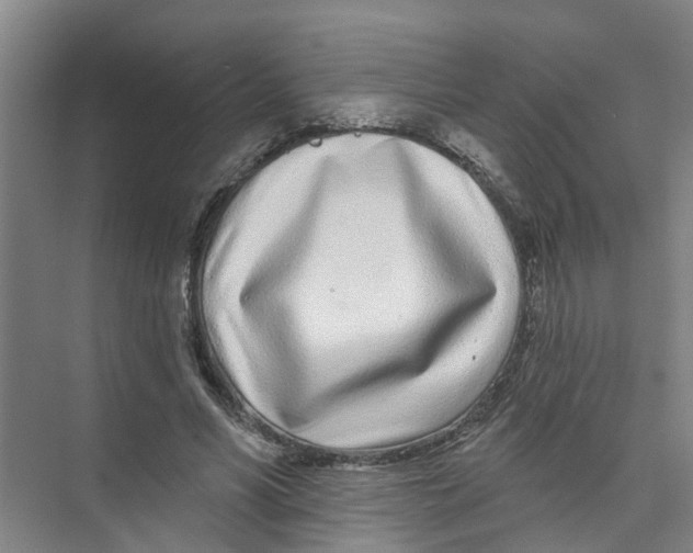 X0000074020590200609181903