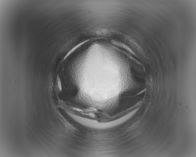 X0000074020593200609181903