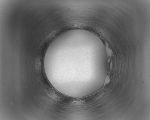 X0000074020595200609181903
