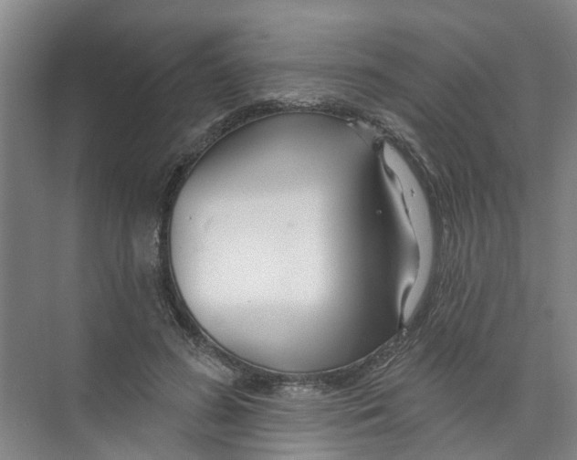 X0000074020596200609181903