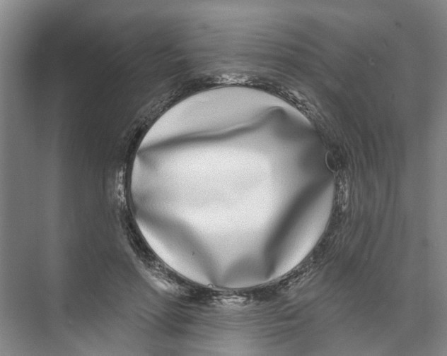 X0000074020598200609181903