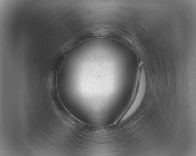 X0000074020600200609181903
