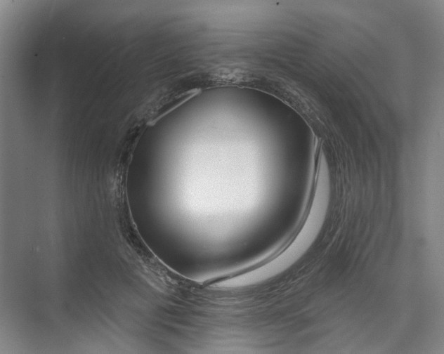 X0000074020601200609181902