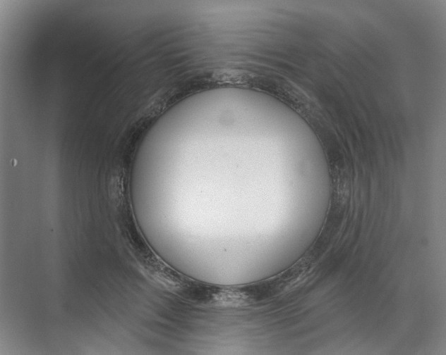 X0000074020603200609181902