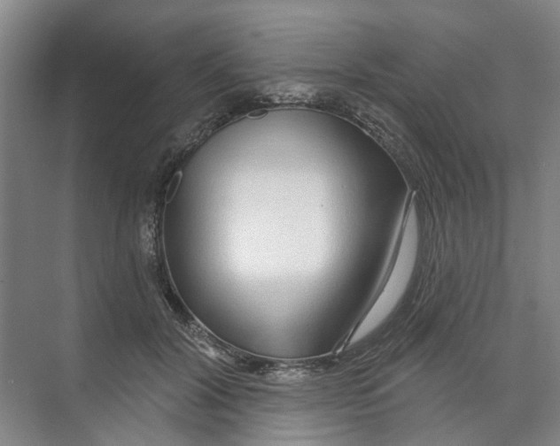X0000074020604200609181902