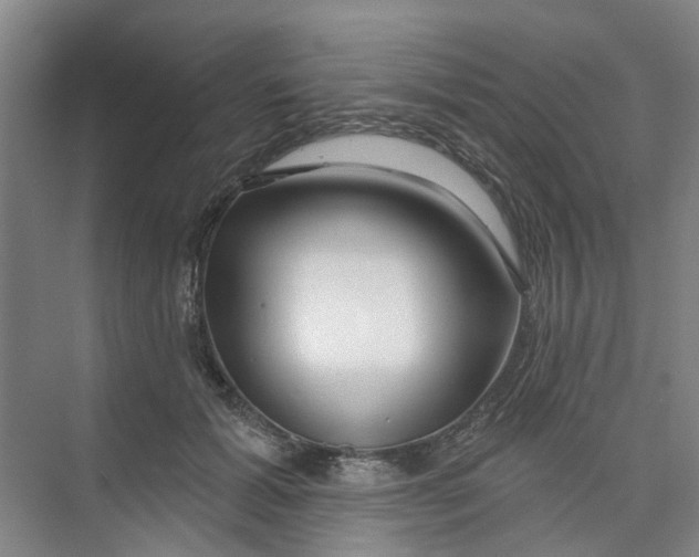 X0000074020605200609181902