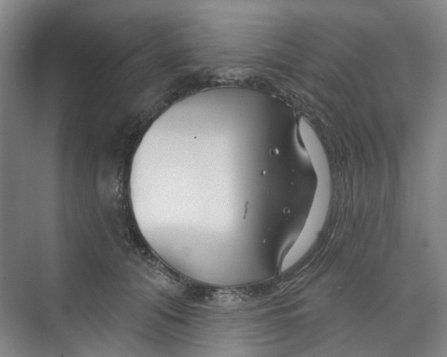 X0000074020608200609181902
