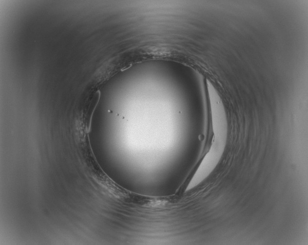 X0000074020609200609181902