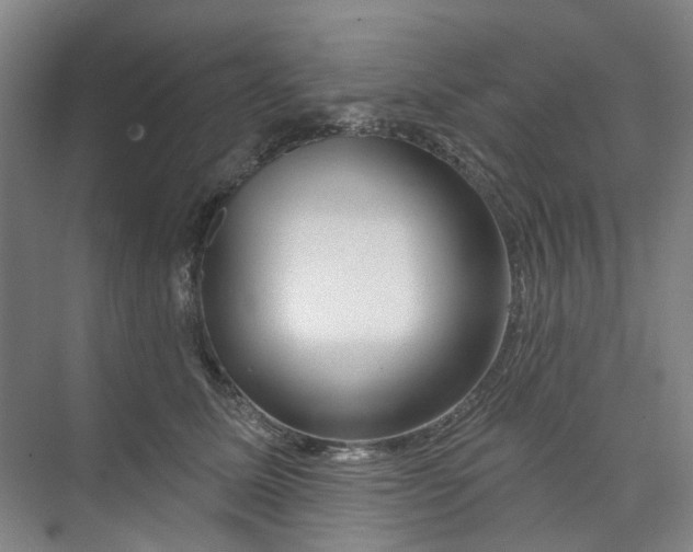 X0000074020611200609181902