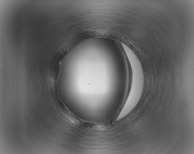 X0000074020613200609181902