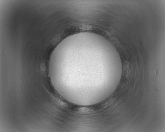 X0000074020614200609181902