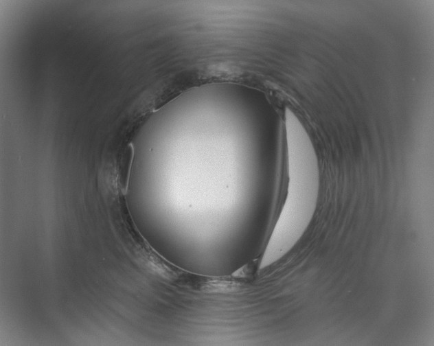 X0000074020617200609181902