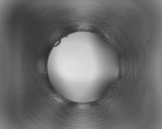 X0000074020619200609181902