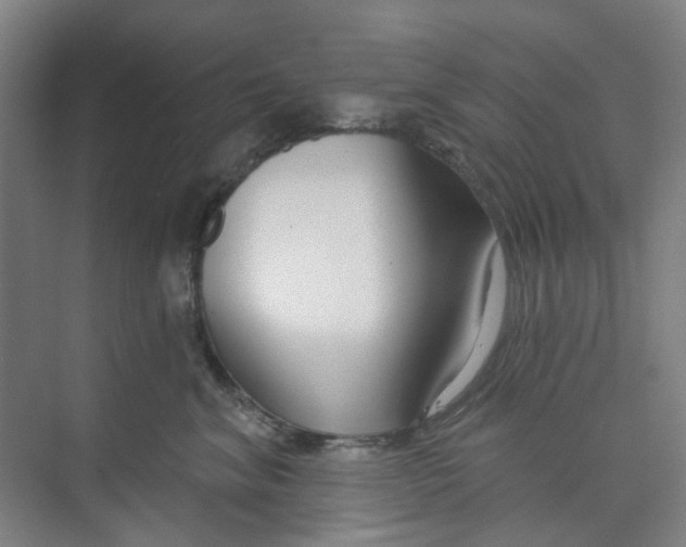 X0000074020620200609181902