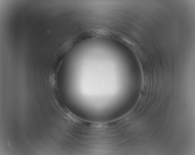 X0000074020621200609181902
