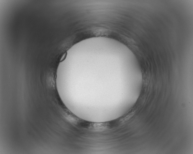 X0000074020622200609181902
