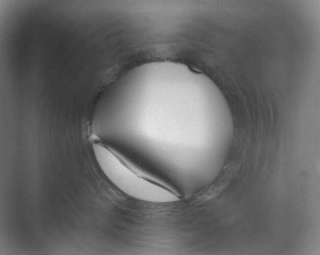 X0000074020624200609181902