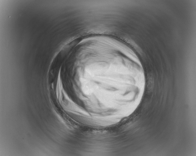 X0000074020626200609181901