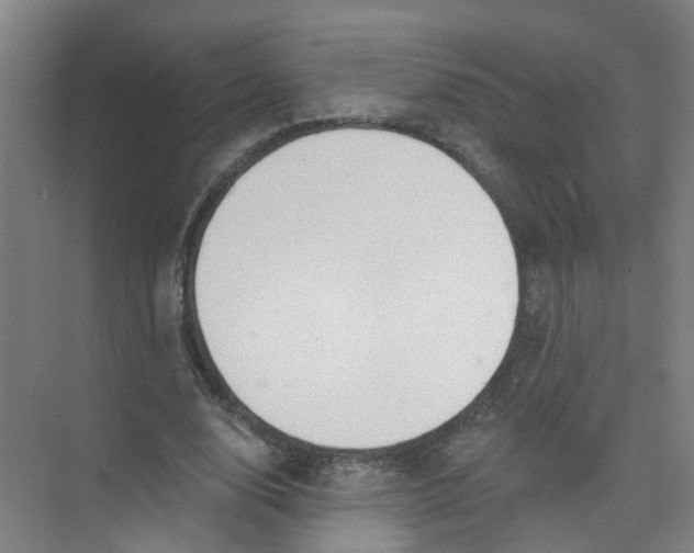 X0000074020632200609181901
