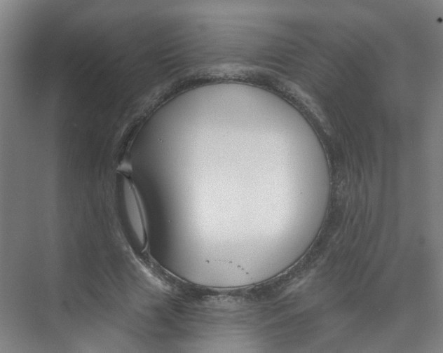 X0000074020633200609181901