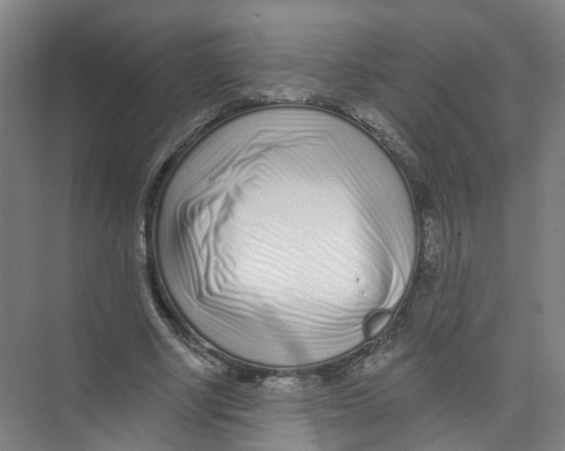 X0000074020634200609181901