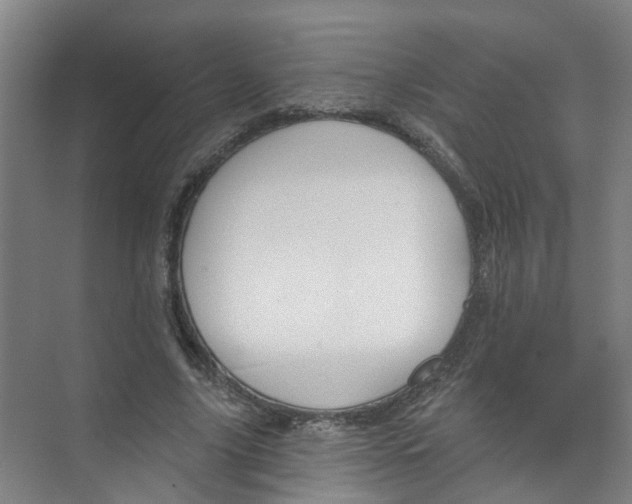 X0000074020635200609181901