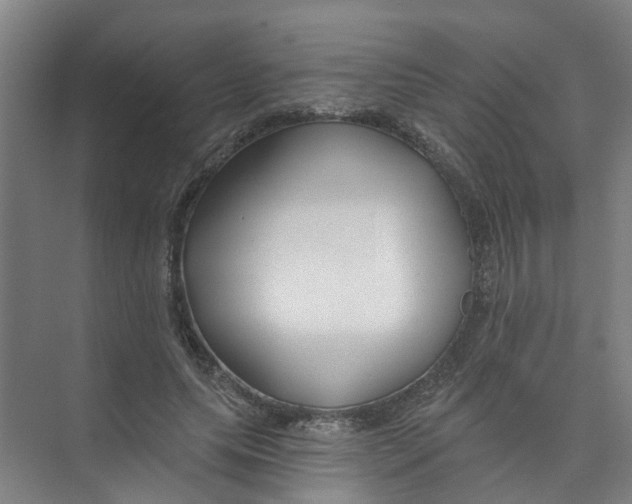 X0000074020639200609181902