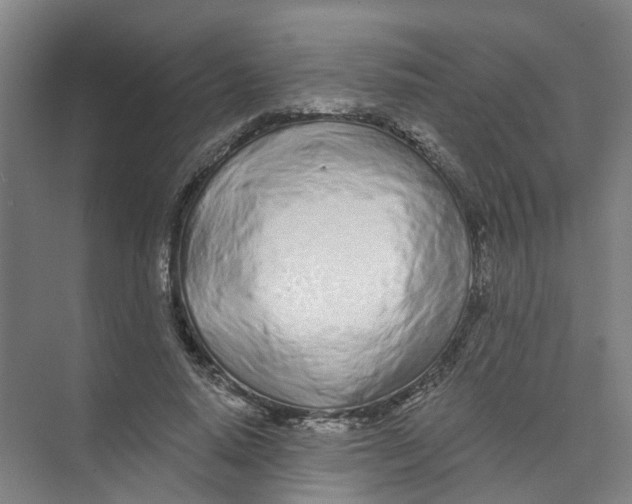 X0000074020640200609181902