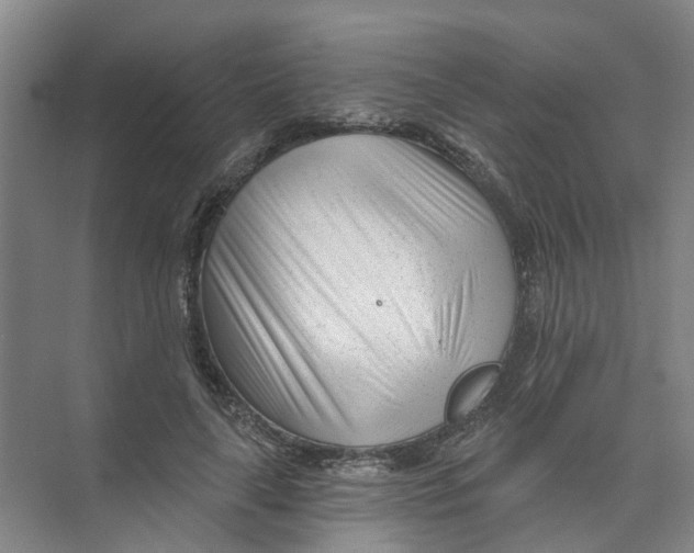 X0000074020643200609181902