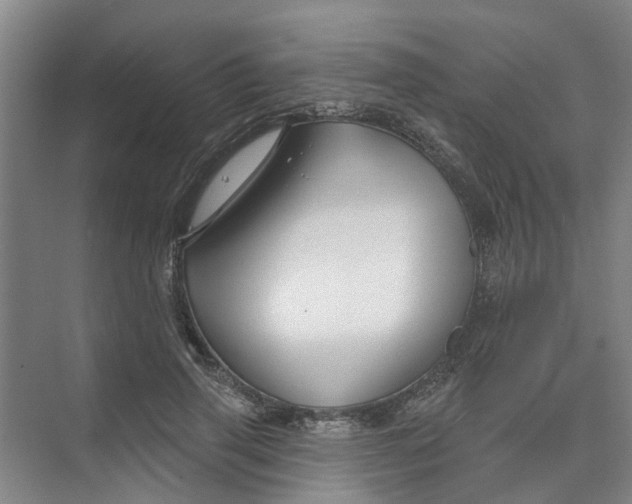 X0000074020645200609181902