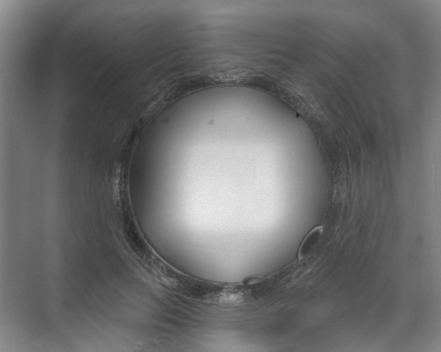X0000074020647200609181902