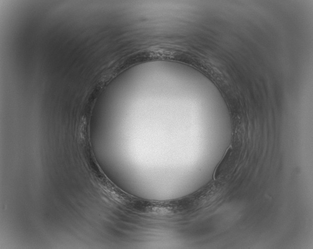 X0000074020649200609181902