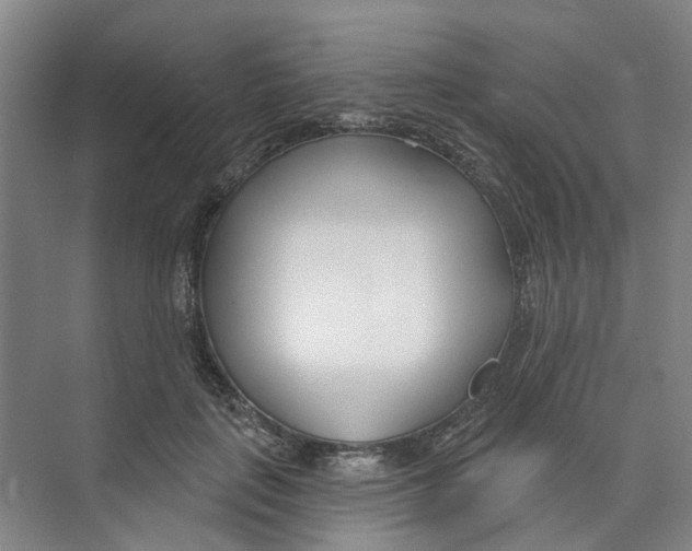 X0000074020651200609181902