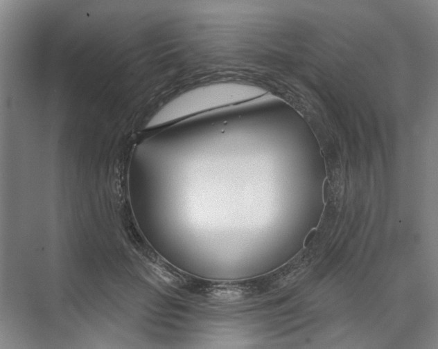 X0000074020653200609181902
