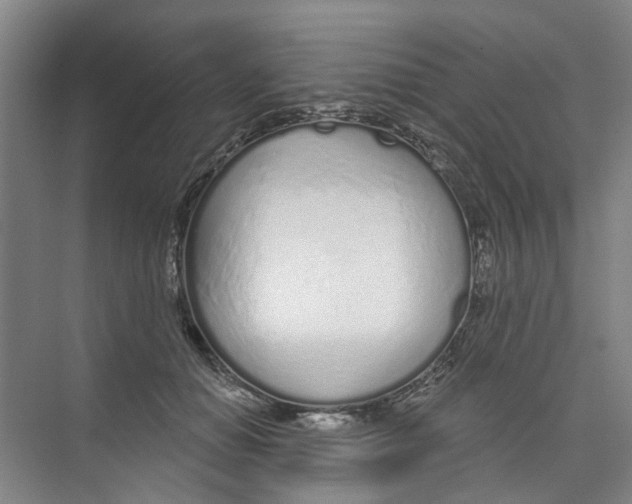 X0000074020654200609181902
