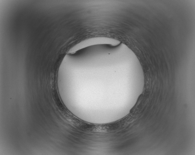 X0000074020656200609181902