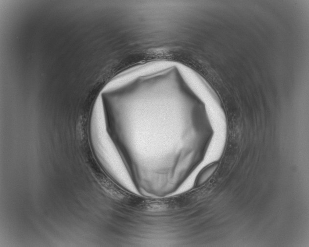 X0000074020658200609181902