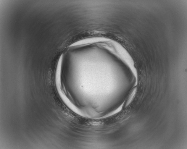X0000074020659200609181902