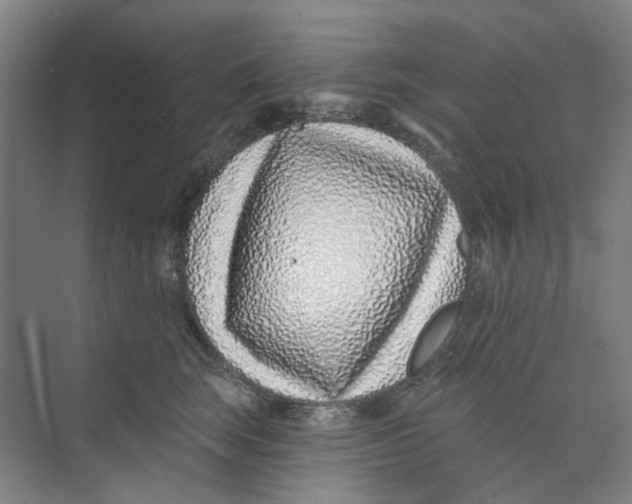 X0000074020663200609181902